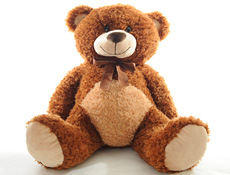 Huge Teddy Bear on Teddy Bear
